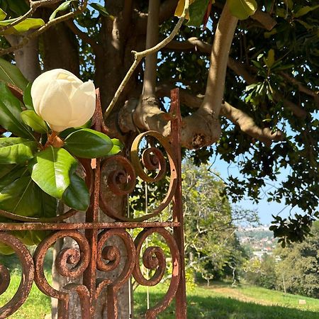 Domaine De La Tisnere Bed & Breakfast Gelos Bagian luar foto